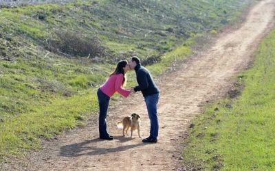 Cómo lograr fotografías creativas con reflejos en bodas.